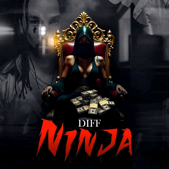 Diff - Ninja