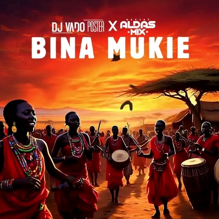 Dj Vado Poster (2em1) & Dj Aldas Mix - Bina Mukie