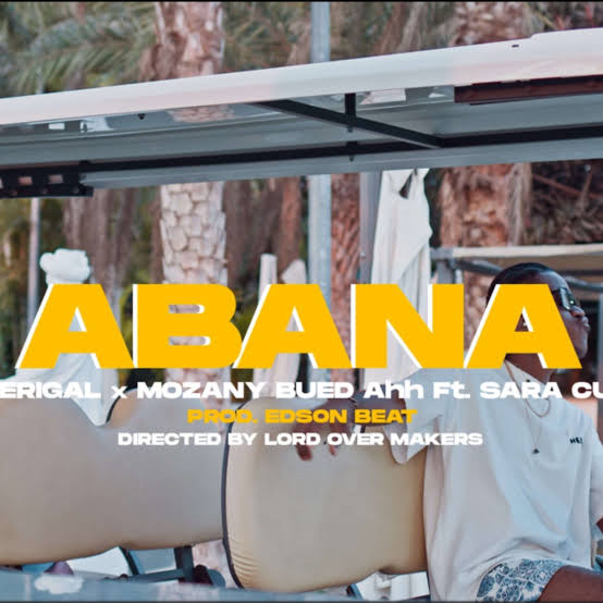 Dj Verigal Feat Mozany & Sara Cuca  - Abana