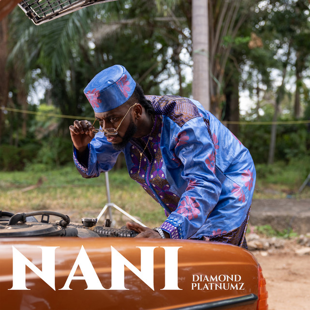 Nani - Diamond Platnumz